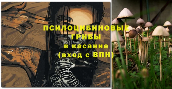 сатива Алзамай