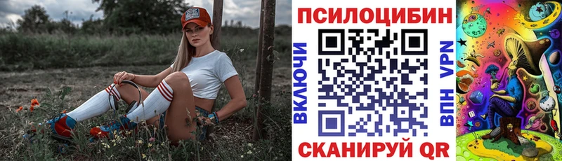 Псилоцибиновые грибы Psilocybine cubensis  закладка  Данилов 